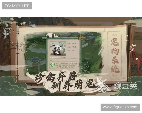 九游账号登录中心账号安全设置指南，帮助用户完善个人信息保护措施